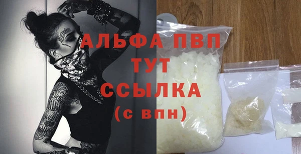 хмурый Инта