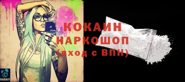 хмурый Инта