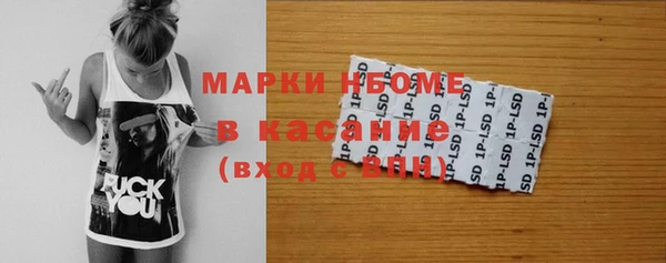 хмурый Инта