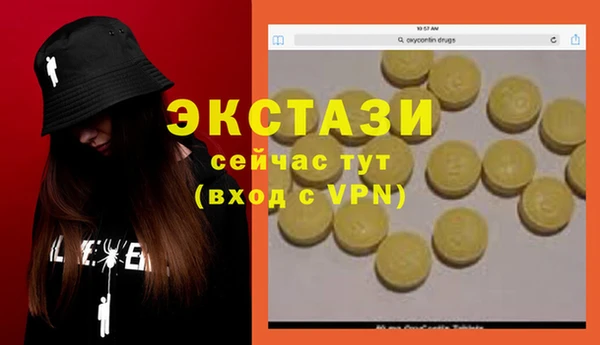 хмурый Инта