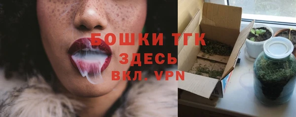 хмурый Инта