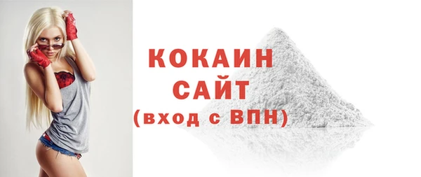 хмурый Инта