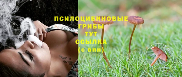 хмурый Инта