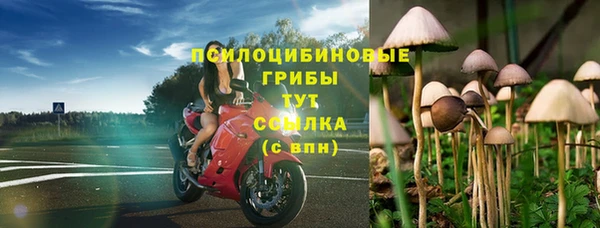 прущие крисы Иннополис
