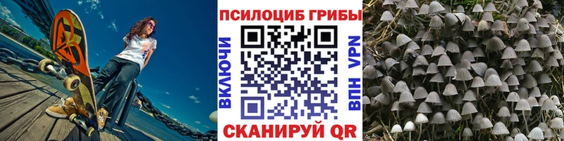 Псилоцибиновые грибы Psilocybine cubensis  Купить закладки  Валуйки 